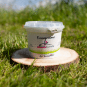 FROMAGE BLANC 500G