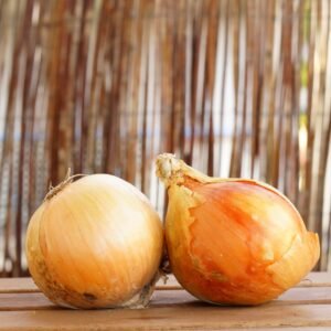 OIGNON JAUNE BIO 1KG