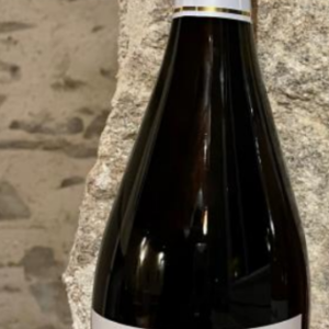 MADEMOISELLE CLEMENCE PETILLANT BRUT BOUTEILLE 75CL