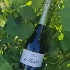 PIERRE FOLLE MOUSSEUX BLANC BRUT MAE BOUTEILLE 75CL