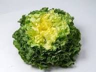 SALADE SCAROLE BIO