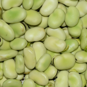 FEVE BIO 1KG