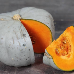 COURGE BLEUE DE HONGRIE BIO 1KG (2 PIECES)