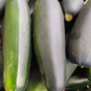 COURGETTE VERTE BIO 1KG