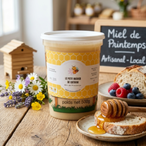 MIEL CREMEUX DE PRINTEMPS 500G