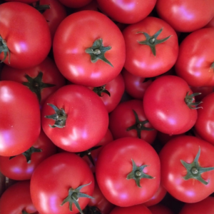 TOMATES RONDES BIO 1KG
