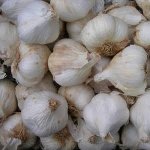 AIL SEC BIO 1KG