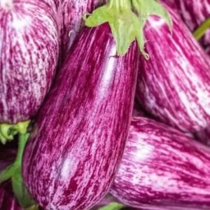 AUBERGINE VIOLETTE BIO 1KG