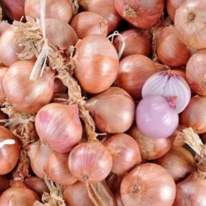 OIGNON ROSE BIO 1KG
